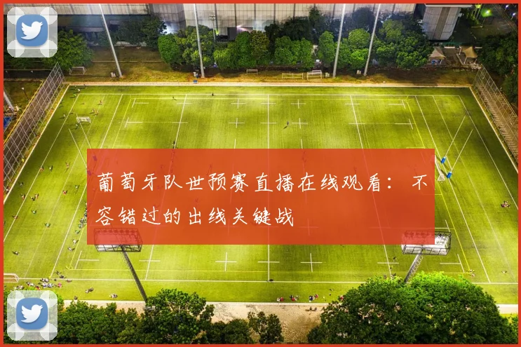 葡萄牙队世预赛直播在线观看：不容错过的出线关键战