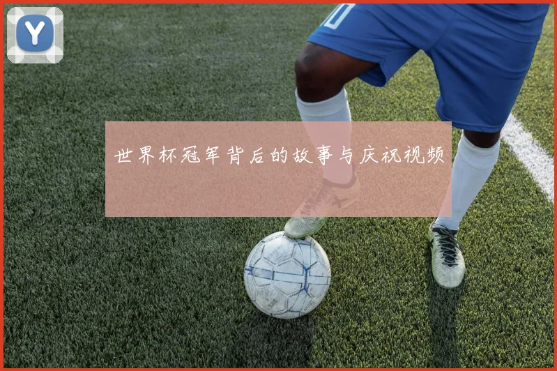 世界杯冠军背后的故事与庆祝视频