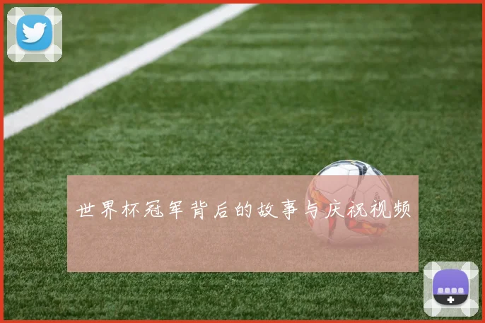 世界杯冠军背后的故事与庆祝视频
